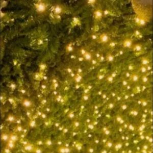 Meet your Posher, Tracey